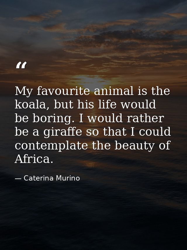 My favourite animal is the koala, but his life would be boring. I would rather be a giraffe so that I could contemplate  — Caterina Murino