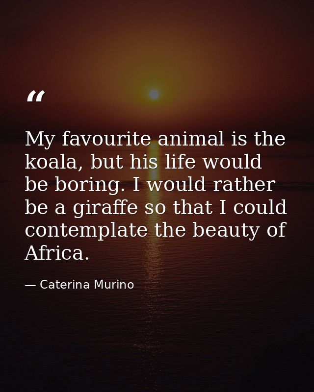 My favourite animal is the koala, but his life would be boring. I would rather be a giraffe so that I could contemplate  — Caterina Murino