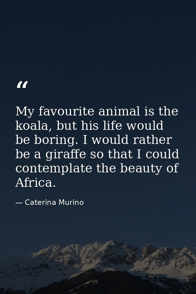 My favourite animal is the koala, but his life would be boring. I would rather be a giraffe so that I could contemplate  — Caterina Murino