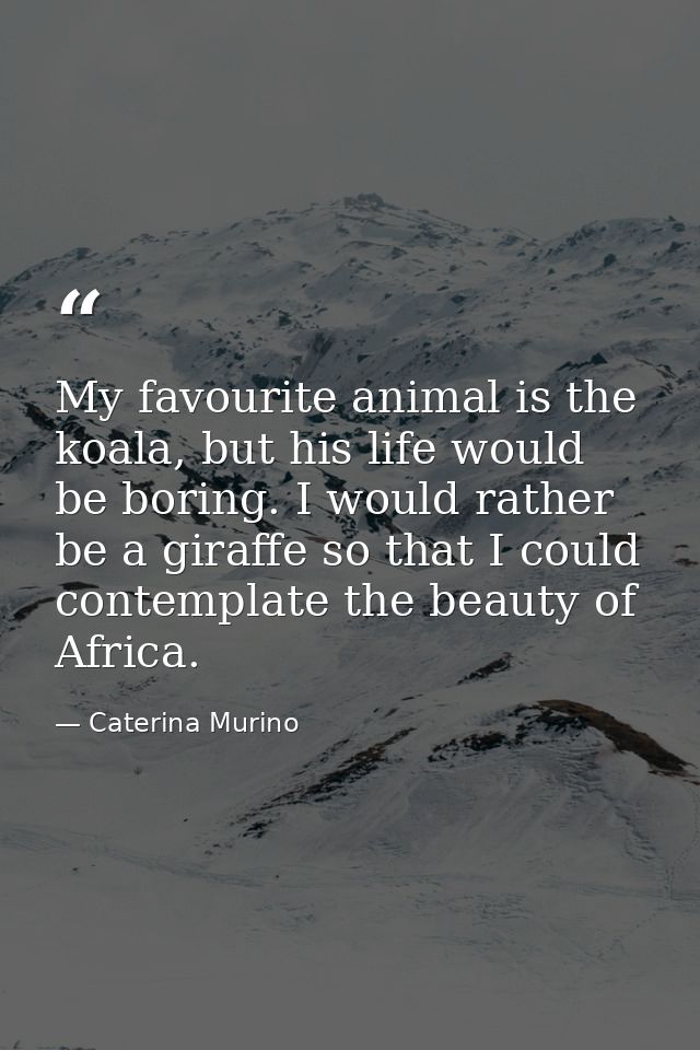 My favourite animal is the koala, but his life would be boring. I would rather be a giraffe so that I could contemplate  — Caterina Murino