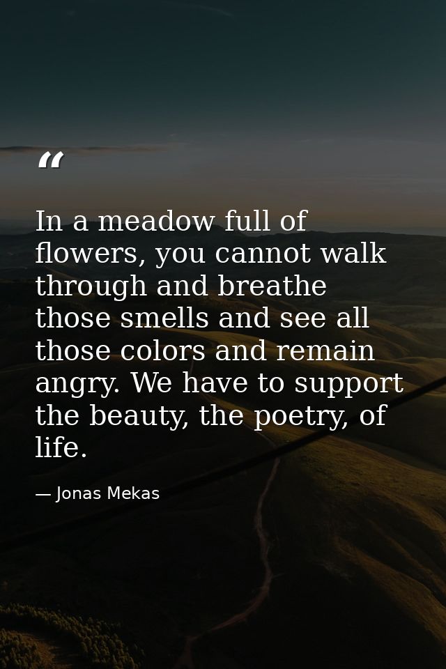 In a meadow full of flowers, you cannot walk through and breathe those smells and see all those colors and remain angry. — Jonas Mekas