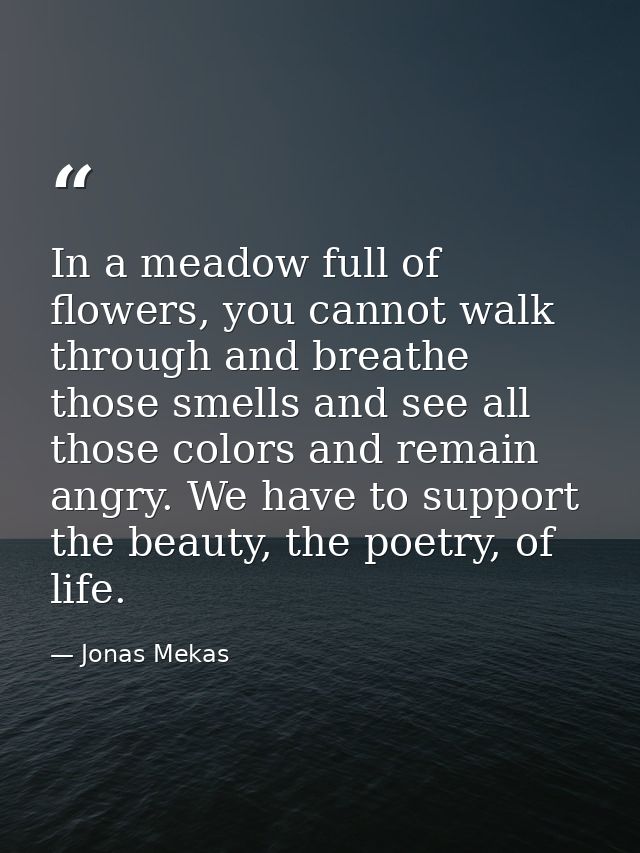 In a meadow full of flowers, you cannot walk through and breathe those smells and see all those colors and remain angry. — Jonas Mekas