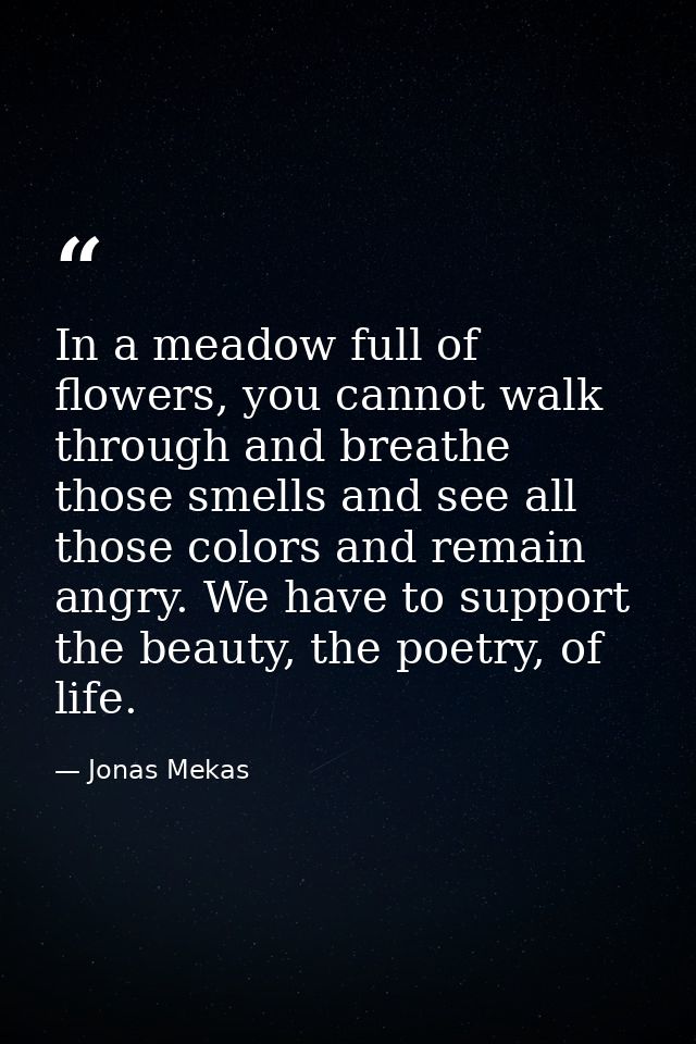 In a meadow full of flowers, you cannot walk through and breathe those smells and see all those colors and remain angry. — Jonas Mekas