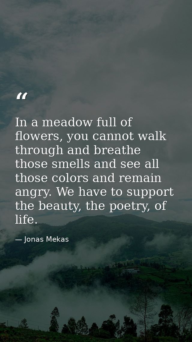In a meadow full of flowers, you cannot walk through and breathe those smells and see all those colors and remain angry. — Jonas Mekas