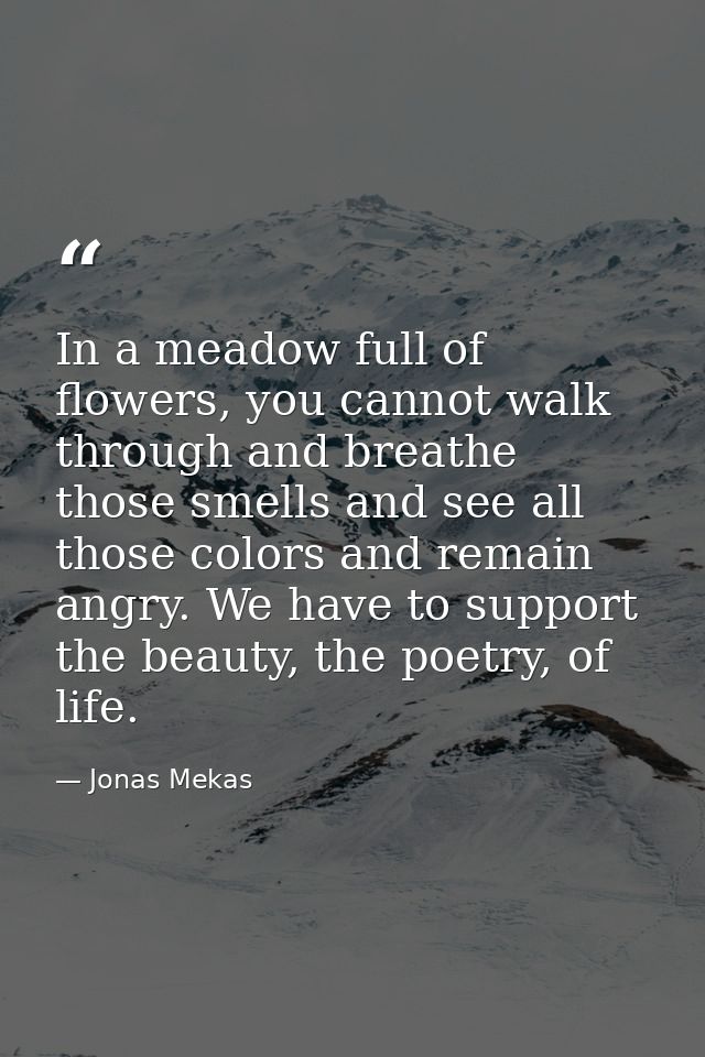In a meadow full of flowers, you cannot walk through and breathe those smells and see all those colors and remain angry. — Jonas Mekas