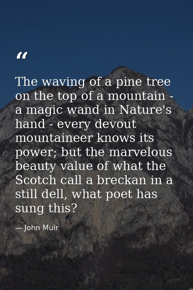 The waving of a pine tree on the top of a mountain - a magic wand in Nature's hand - every devout mountaineer knows its  — John Muir