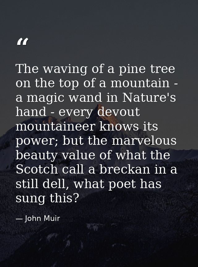 The waving of a pine tree on the top of a mountain - a magic wand in Nature's hand - every devout mountaineer knows its  — John Muir
