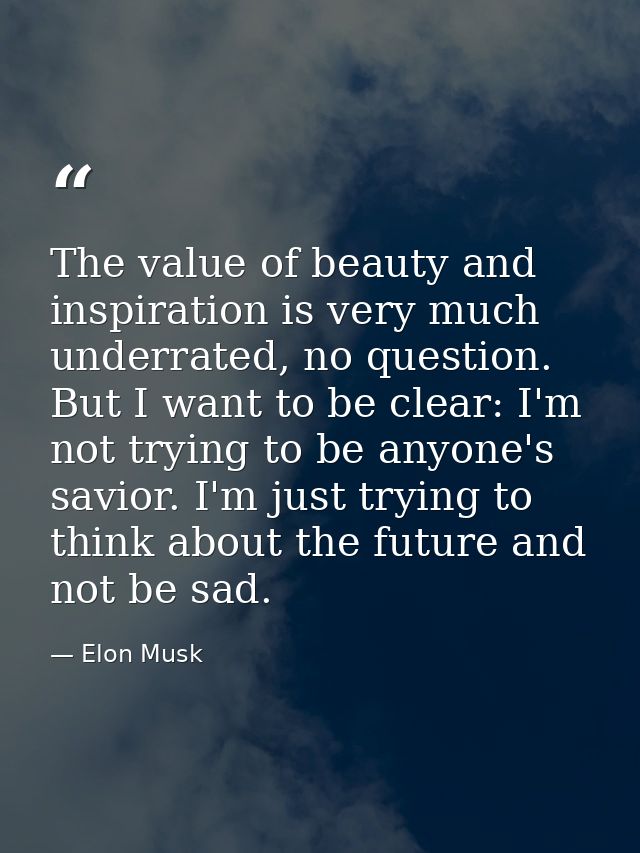 The value of beauty and inspiration is very much underrated, no question. But I want to be clear: I'm not trying to be a — Elon Musk