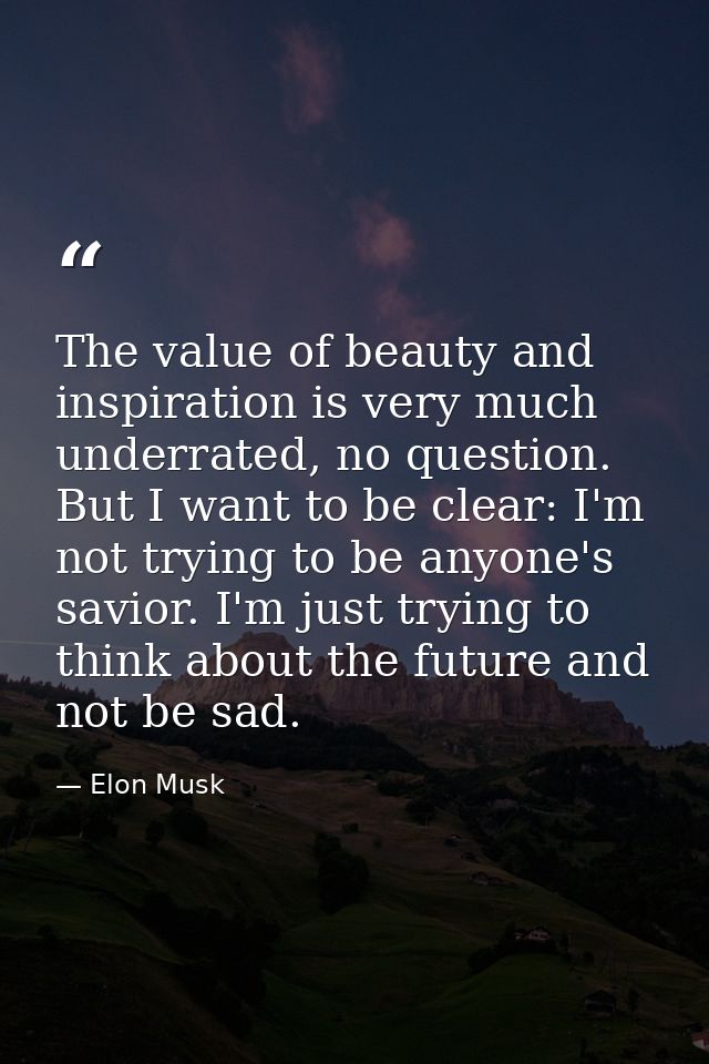 The value of beauty and inspiration is very much underrated, no question. But I want to be clear: I'm not trying to be a — Elon Musk