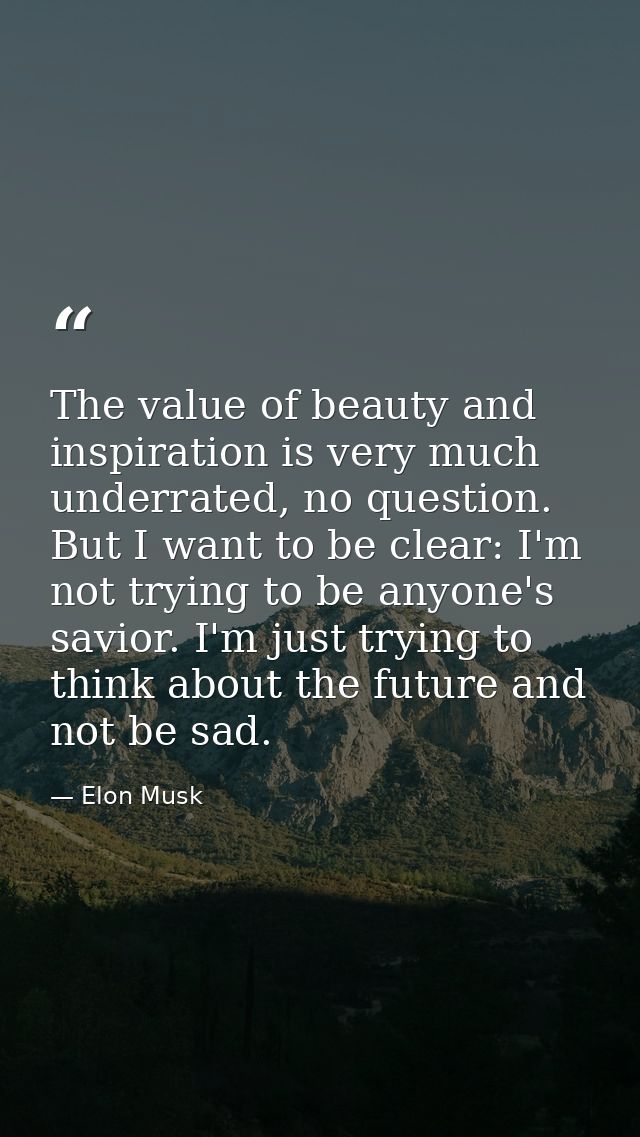The value of beauty and inspiration is very much underrated, no question. But I want to be clear: I'm not trying to be a — Elon Musk