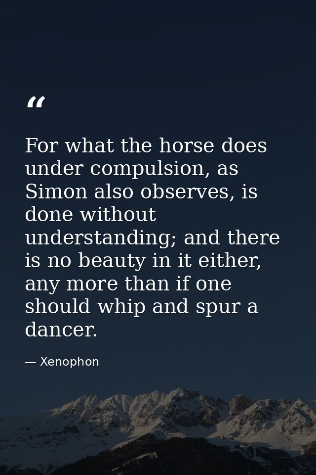 For what the horse does under compulsion, as Simon also observes, is done without understanding; and there is no beauty  — Xenophon