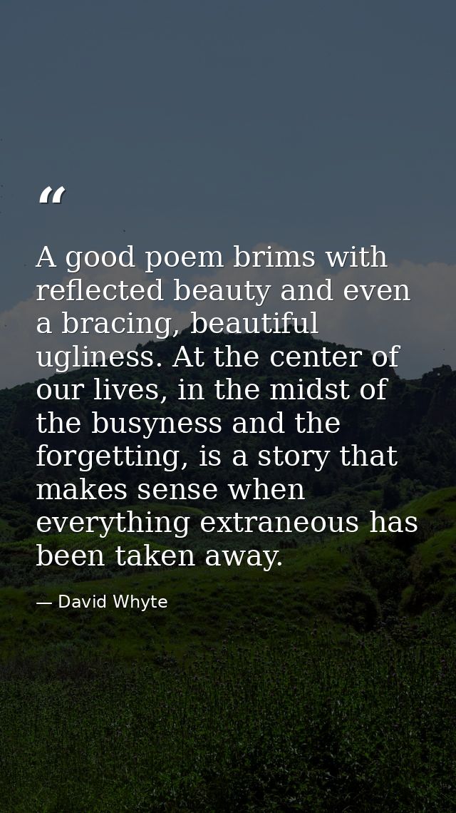 A good poem brims with reflected beauty and even a bracing, beautiful ugliness. At the center of our lives, in the midst — David Whyte