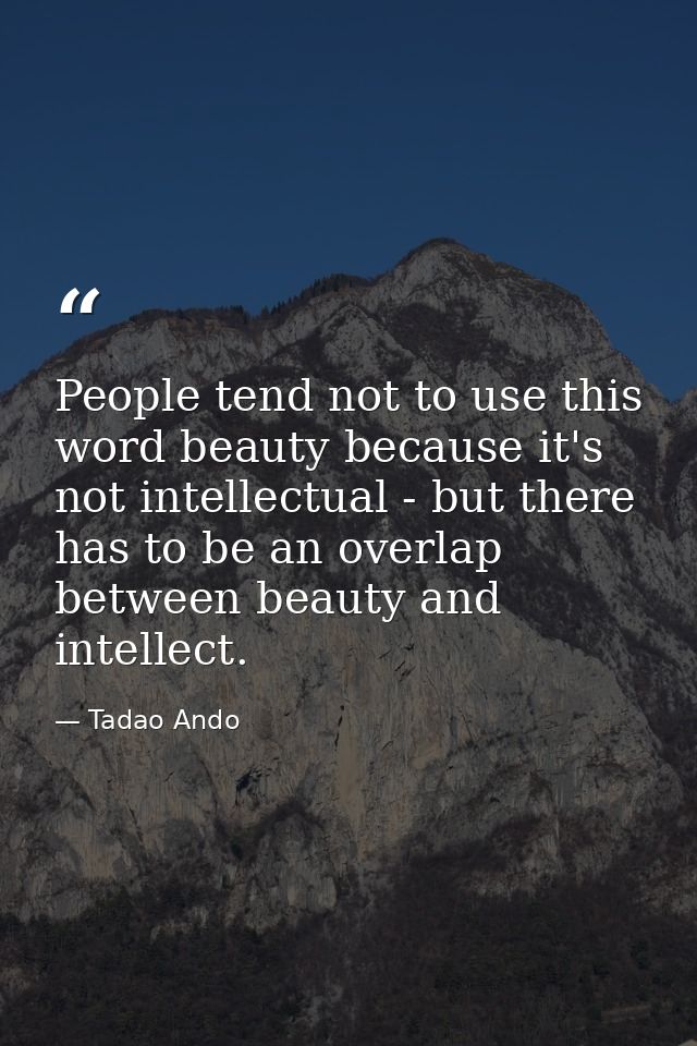 People tend not to use this word beauty because it's not intellectual - but there has to be an overlap between beauty an — Tadao Ando