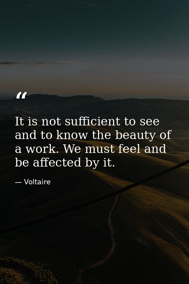 It is not sufficient to see and to know the beauty of a work. We must feel and be affected by it. — Voltaire