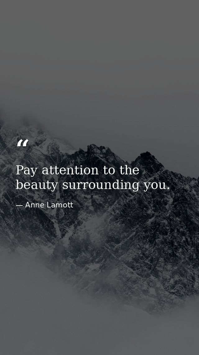 Pay attention to the beauty surrounding you. — Anne Lamott
