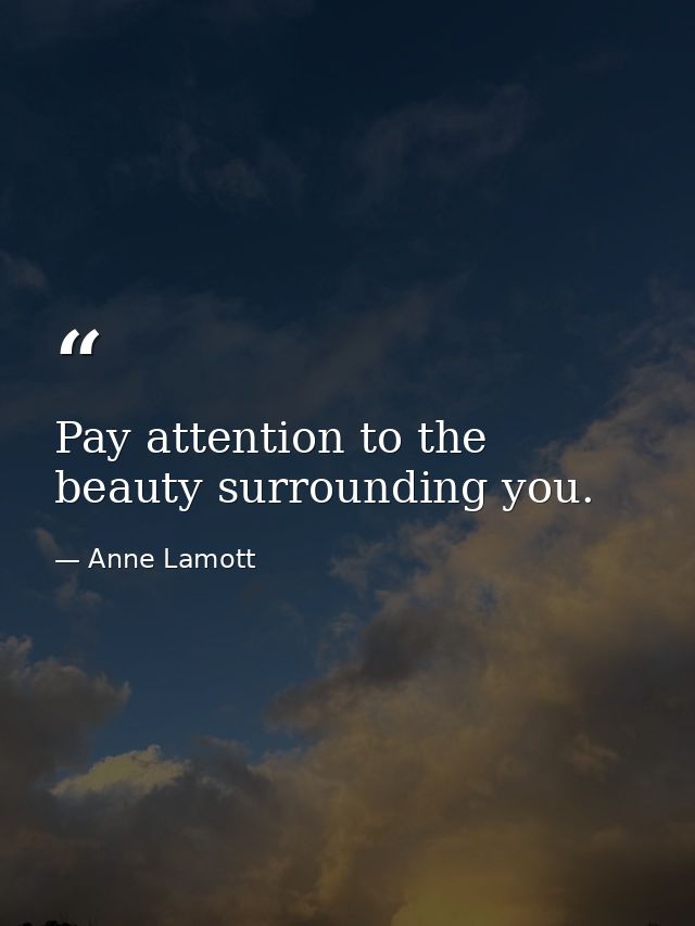 Pay attention to the beauty surrounding you. — Anne Lamott