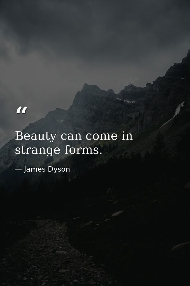 Beauty can come in strange forms. — James Dyson