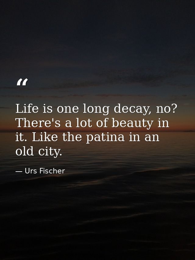 Life is one long decay, no? There's a lot of beauty in it. Like the patina in an old city. — Urs Fischer