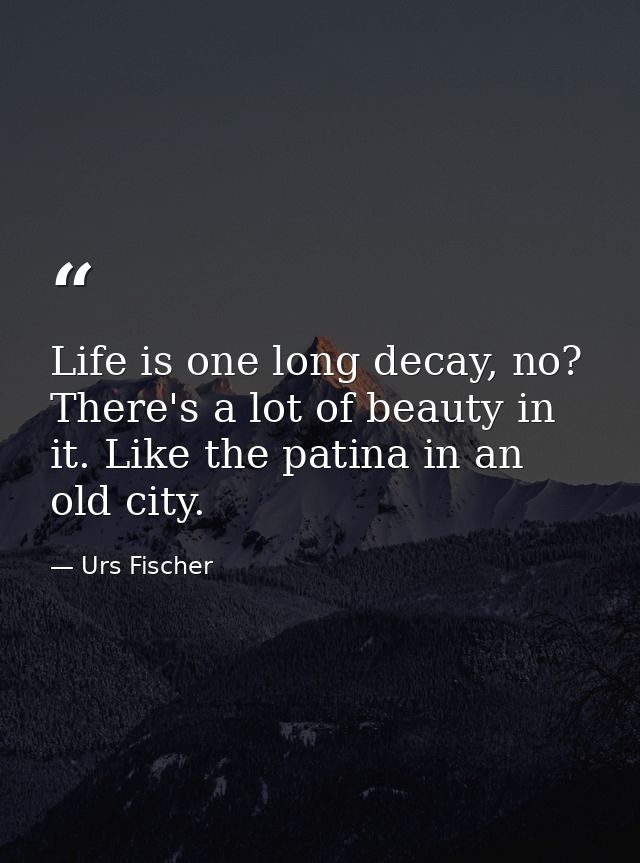 Life is one long decay, no? There's a lot of beauty in it. Like the patina in an old city. — Urs Fischer
