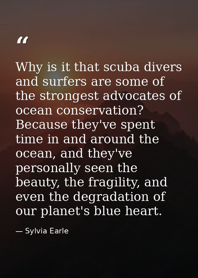 Why is it that scuba divers and surfers are some of the strongest advocates of ocean conservation? Because they've spent — Sylvia Earle