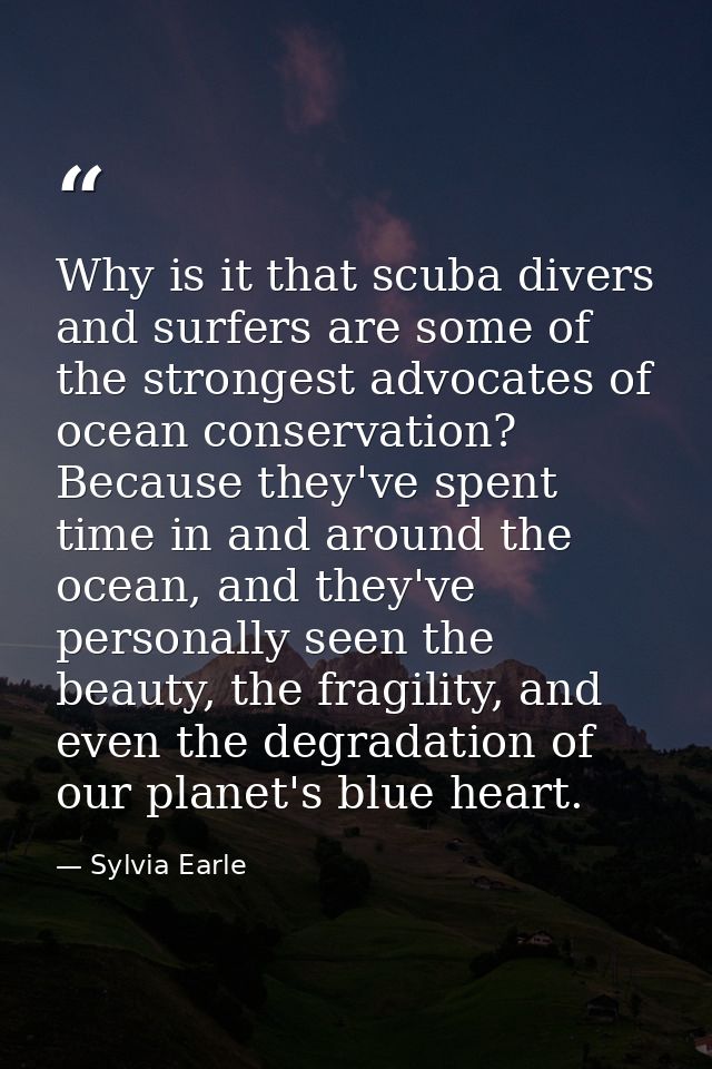 Why is it that scuba divers and surfers are some of the strongest advocates of ocean conservation? Because they've spent — Sylvia Earle