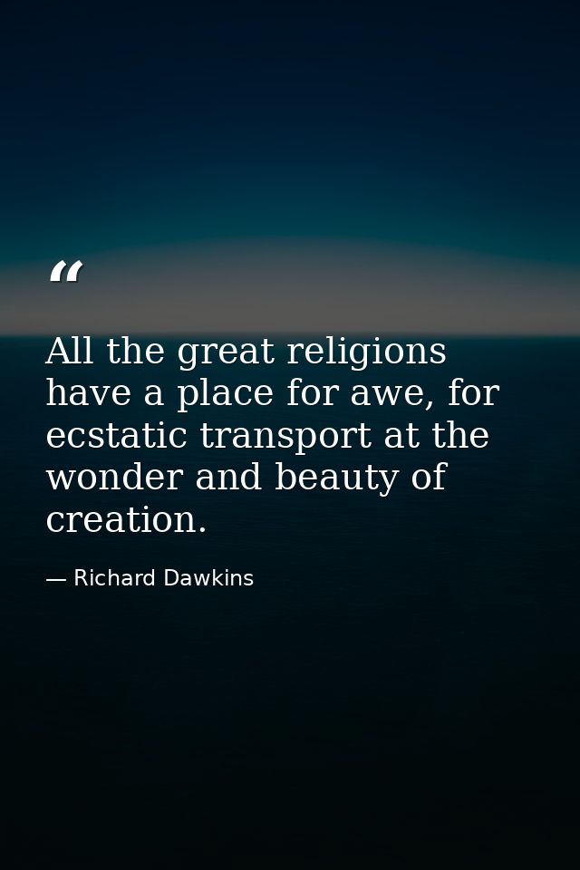 All the great religions have a place for awe, for ecstatic transport at the wonder and beauty of creation. — Richard Dawkins