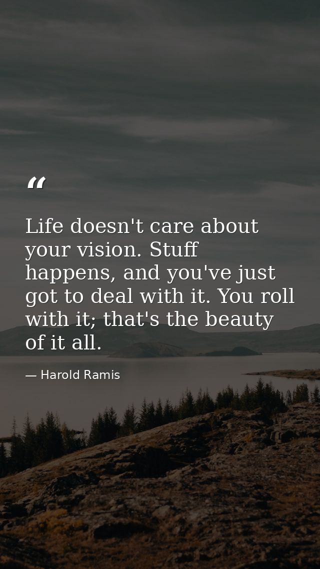 Life doesn't care about your vision. Stuff happens, and you've just got to deal with it. You roll with it; that's the be — Harold Ramis