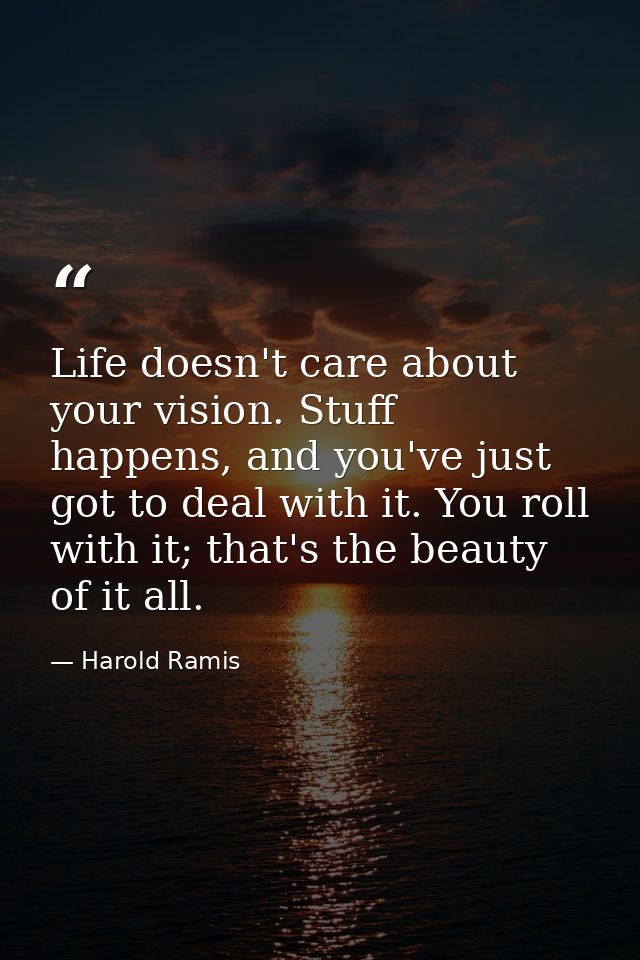 Life doesn't care about your vision. Stuff happens, and you've just got to deal with it. You roll with it; that's the be — Harold Ramis