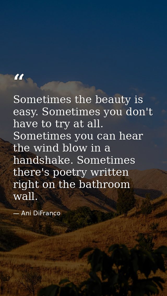 Sometimes the beauty is easy. Sometimes you don't have to try at all. Sometimes you can hear the wind blow in a handshak — Ani DiFranco