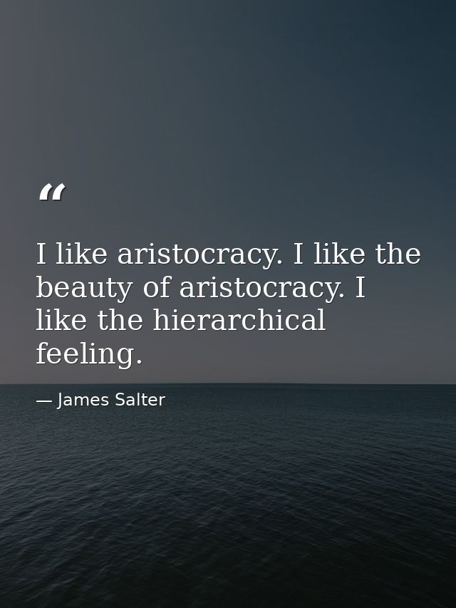 I like aristocracy. I like the beauty of aristocracy. I like the hierarchical feeling. — James Salter