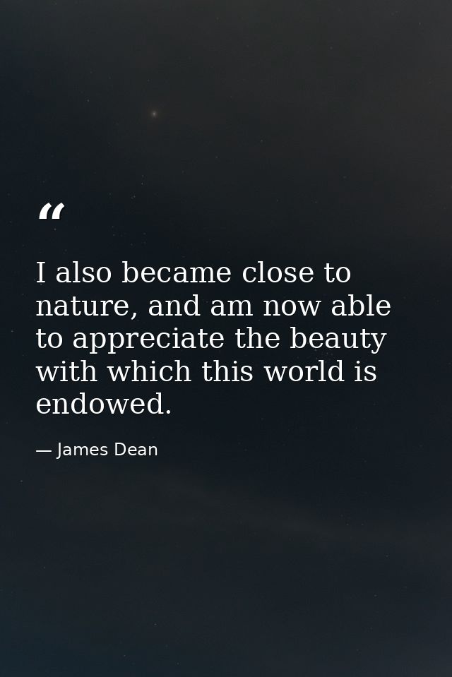 I also became close to nature, and am now able to appreciate the beauty with which this world is endowed. — James Dean