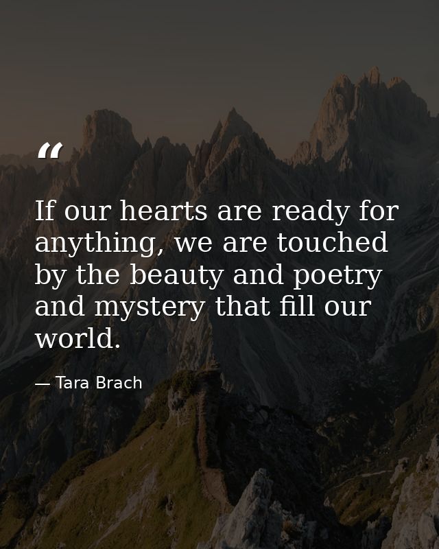 If our hearts are ready for anything, we are touched by the beauty and poetry and mystery that fill our world. — Tara Brach