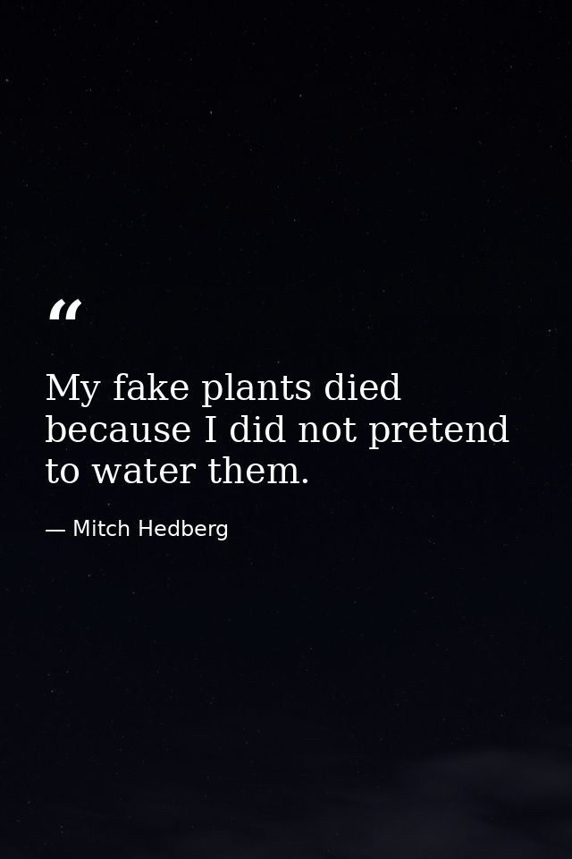 My fake plants died because I did not pretend to water them. — Mitch Hedberg