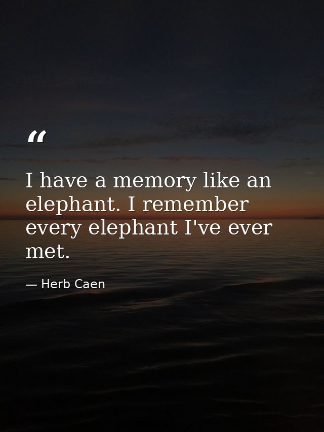 I have a memory like an elephant. I remember every elephant I've ever met. — Herb Caen
