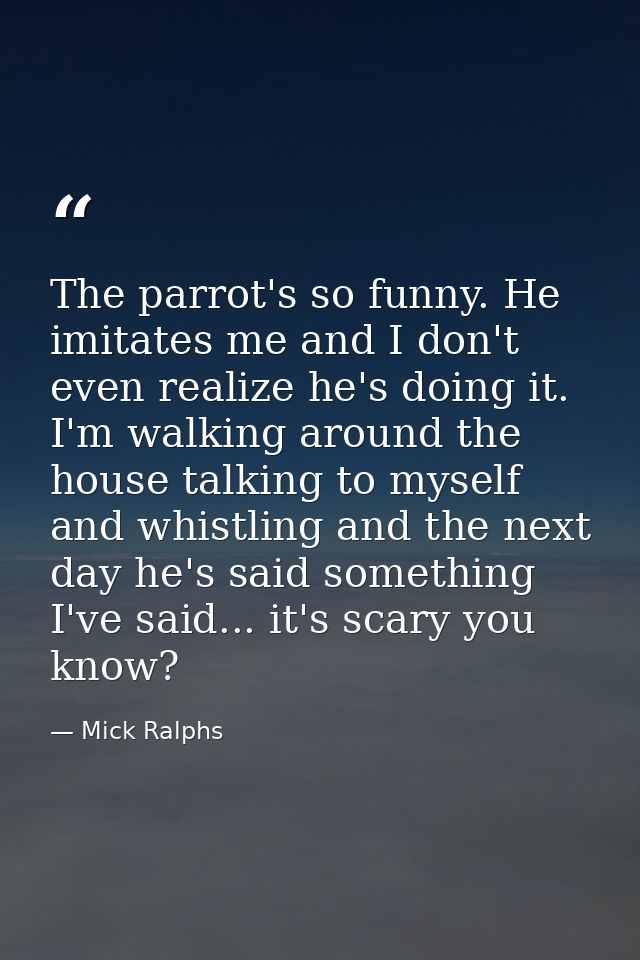 The parrot's so funny. He imitates me and I don't even realize he's doing it. I'm walking around the house talking to my — Mick Ralphs