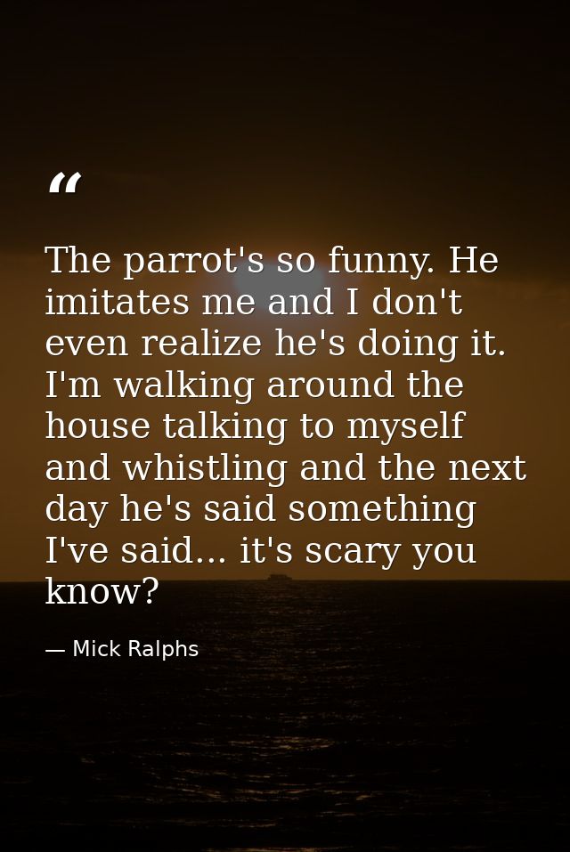 The parrot's so funny. He imitates me and I don't even realize he's doing it. I'm walking around the house talking to my — Mick Ralphs