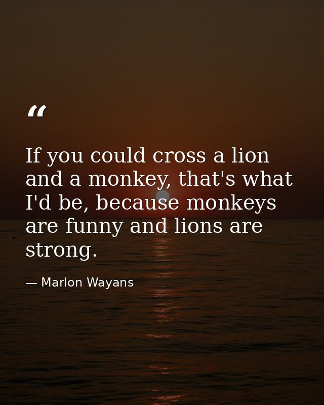 If you could cross a lion and a monkey, that's what I'd be, because monkeys are funny and lions are strong. — Marlon Wayans