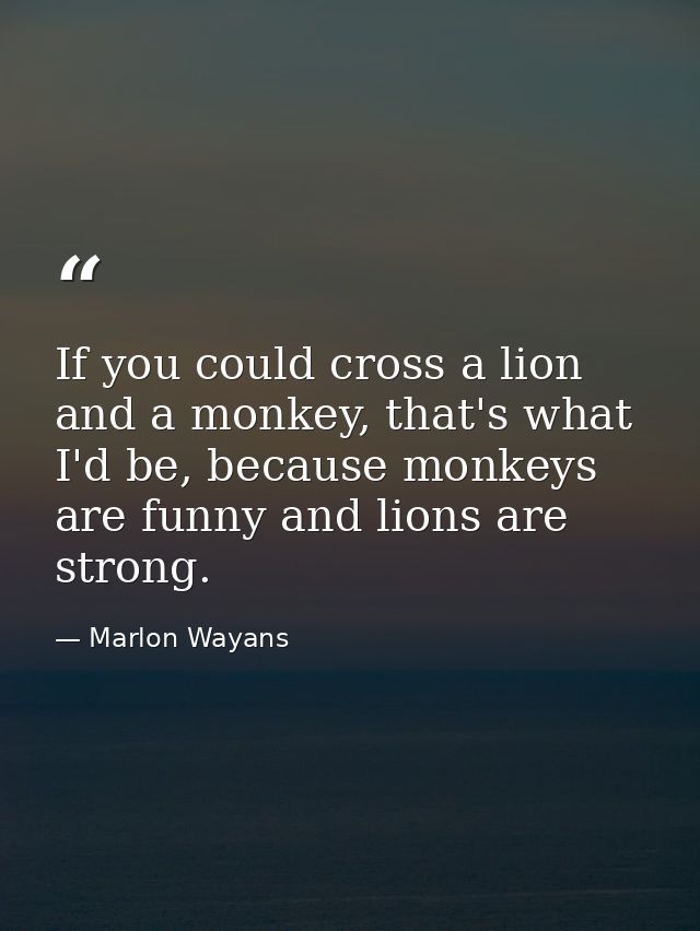 If you could cross a lion and a monkey, that's what I'd be, because monkeys are funny and lions are strong. — Marlon Wayans
