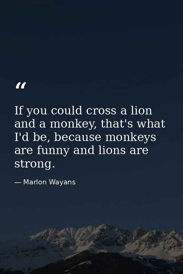 If you could cross a lion and a monkey, that's what I'd be, because monkeys are funny and lions are strong. — Marlon Wayans