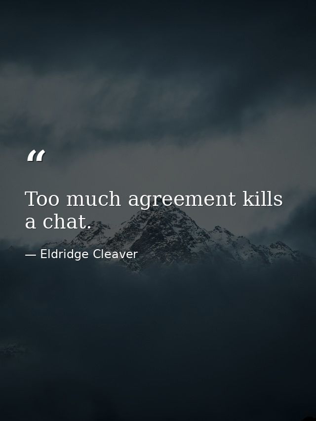 Too much agreement kills a chat. — Eldridge Cleaver