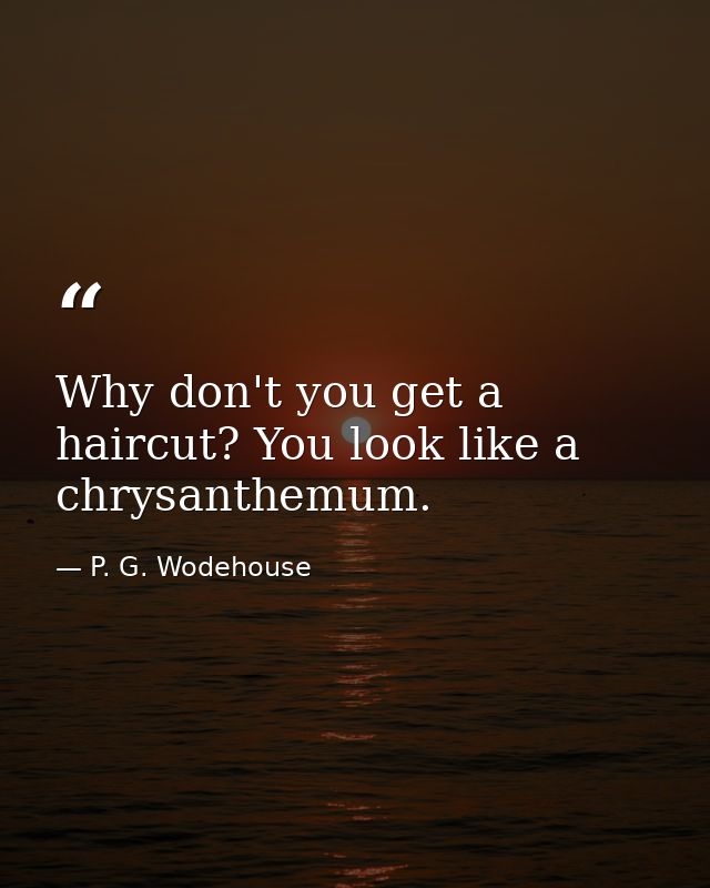 Why don't you get a haircut? You look like a chrysanthemum. — P. G. Wodehouse