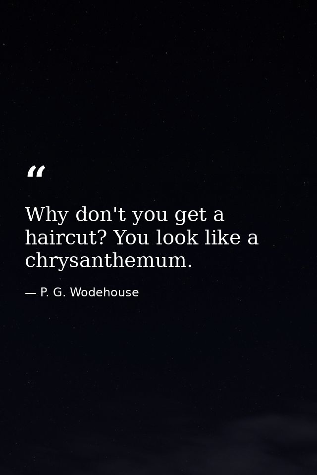 Why don't you get a haircut? You look like a chrysanthemum. — P. G. Wodehouse
