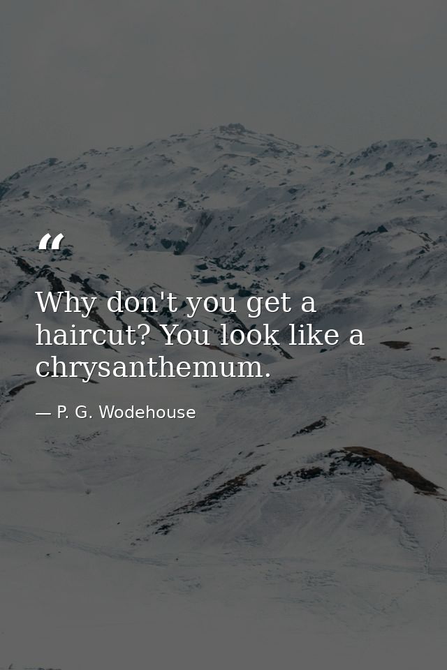 Why don't you get a haircut? You look like a chrysanthemum. — P. G. Wodehouse