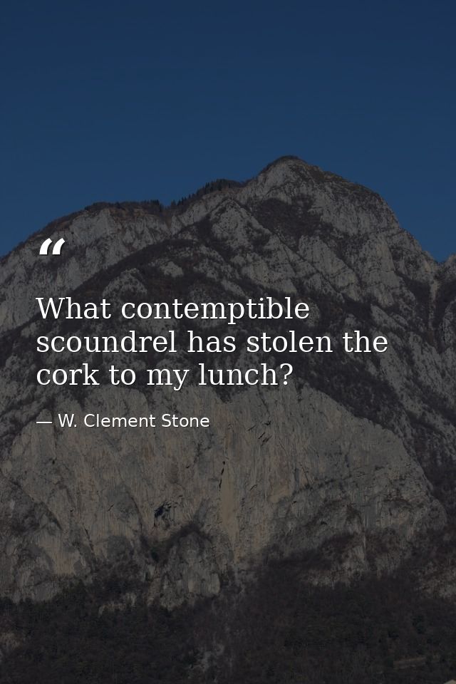 What contemptible scoundrel has stolen the cork to my lunch? — W. Clement Stone