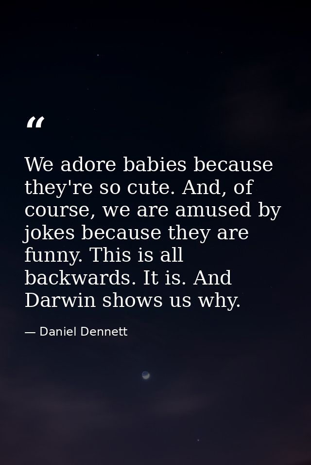 We adore babies because they're so cute. And, of course, we are amused by jokes because they are funny. This is all back — Daniel Dennett