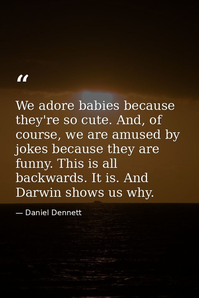 We adore babies because they're so cute. And, of course, we are amused by jokes because they are funny. This is all back — Daniel Dennett