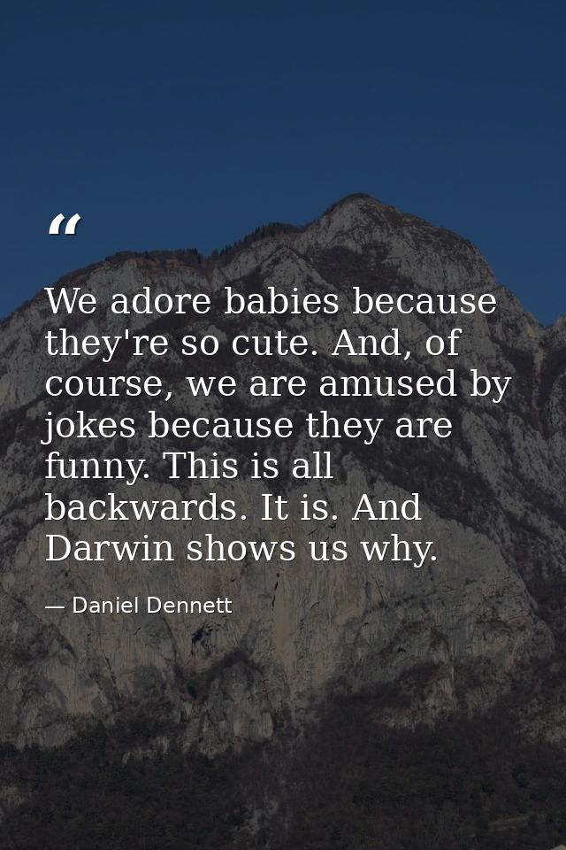We adore babies because they're so cute. And, of course, we are amused by jokes because they are funny. This is all back — Daniel Dennett