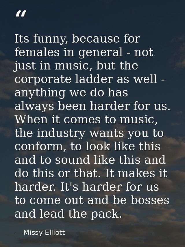 Its funny, because for females in general - not just in music, but the corporate ladder as well - anything we do has alw — Missy Elliott