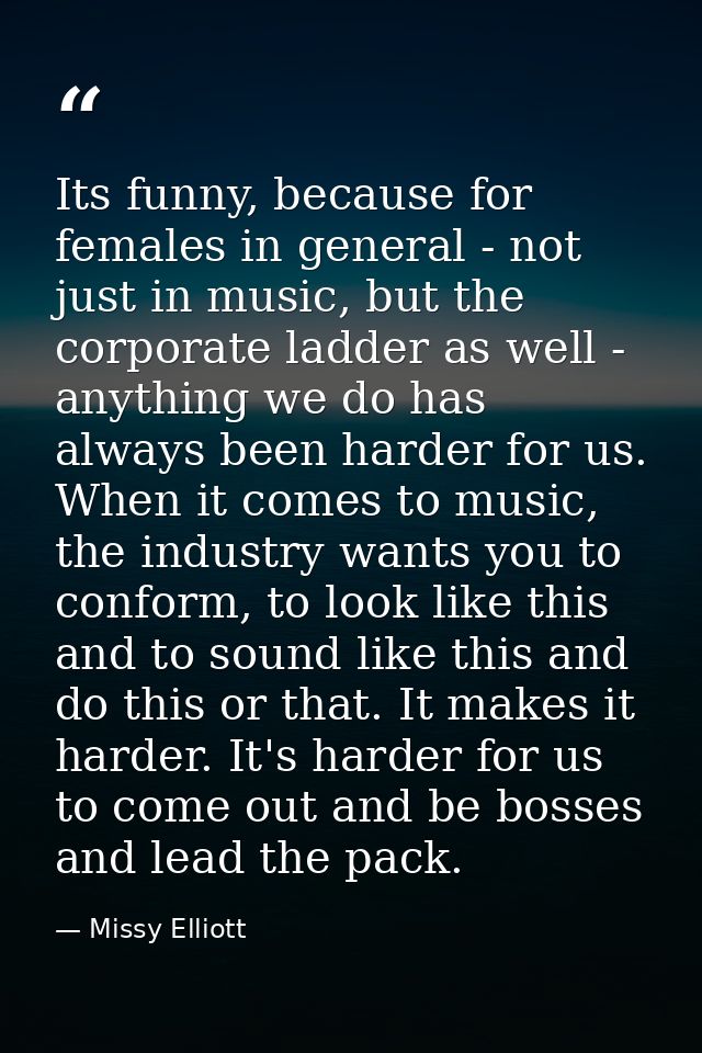 Its funny, because for females in general - not just in music, but the corporate ladder as well - anything we do has alw — Missy Elliott