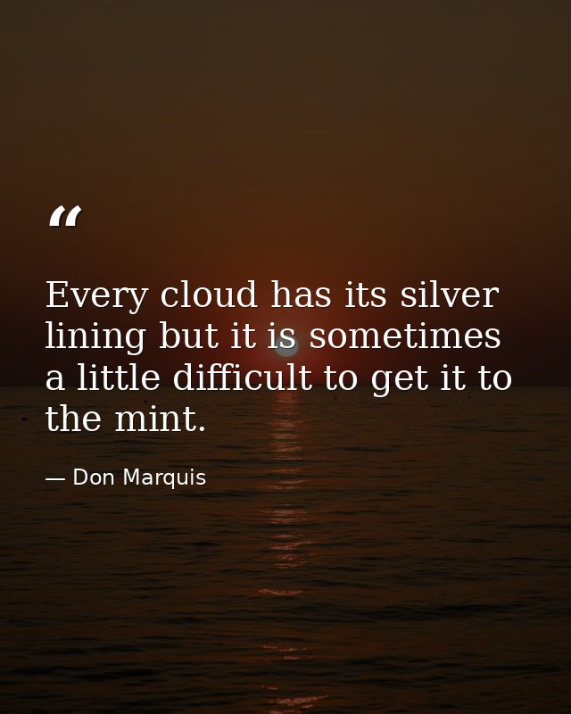 Every cloud has its silver lining but it is sometimes a little difficult to get it to the mint. — Don Marquis
